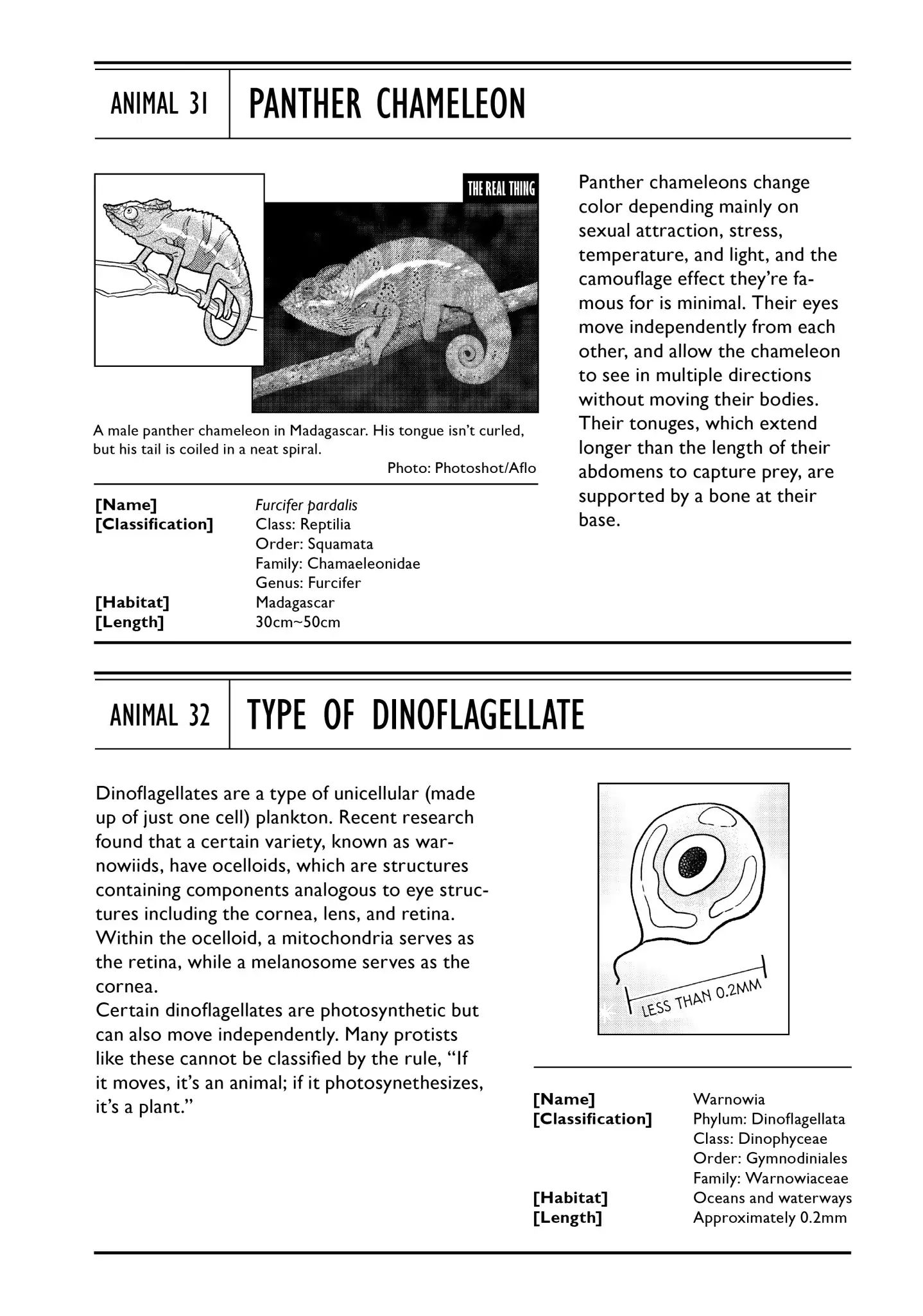 Heaven's Design Team Chapter 1.1 #18