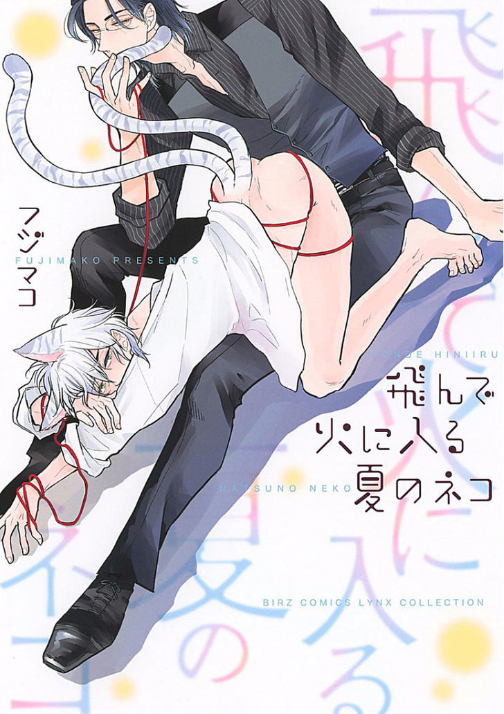 Tonde Hi Ni Iru Natsu No Neko Chapter 1 #2