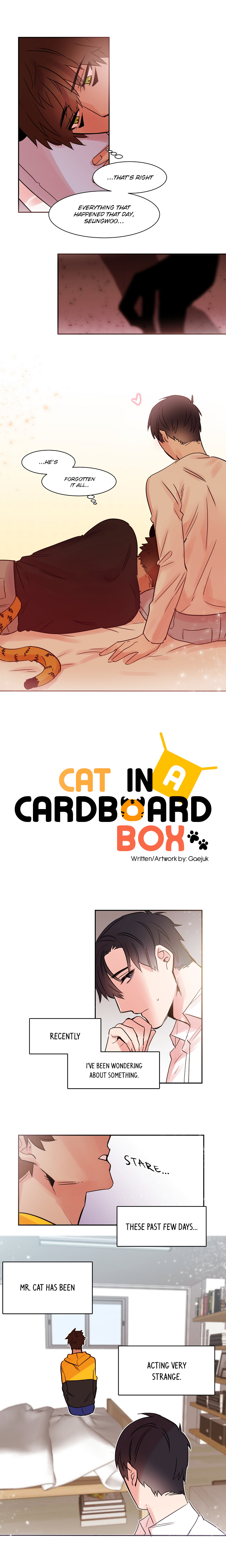 Cat In A Cardboard Box Chapter 12 #3