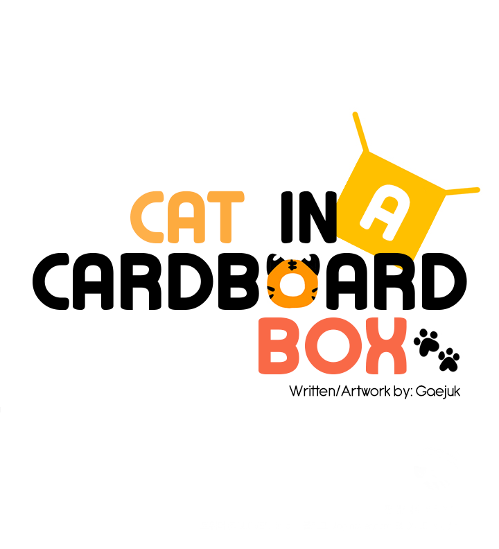 Cat In A Cardboard Box Chapter 11 #27