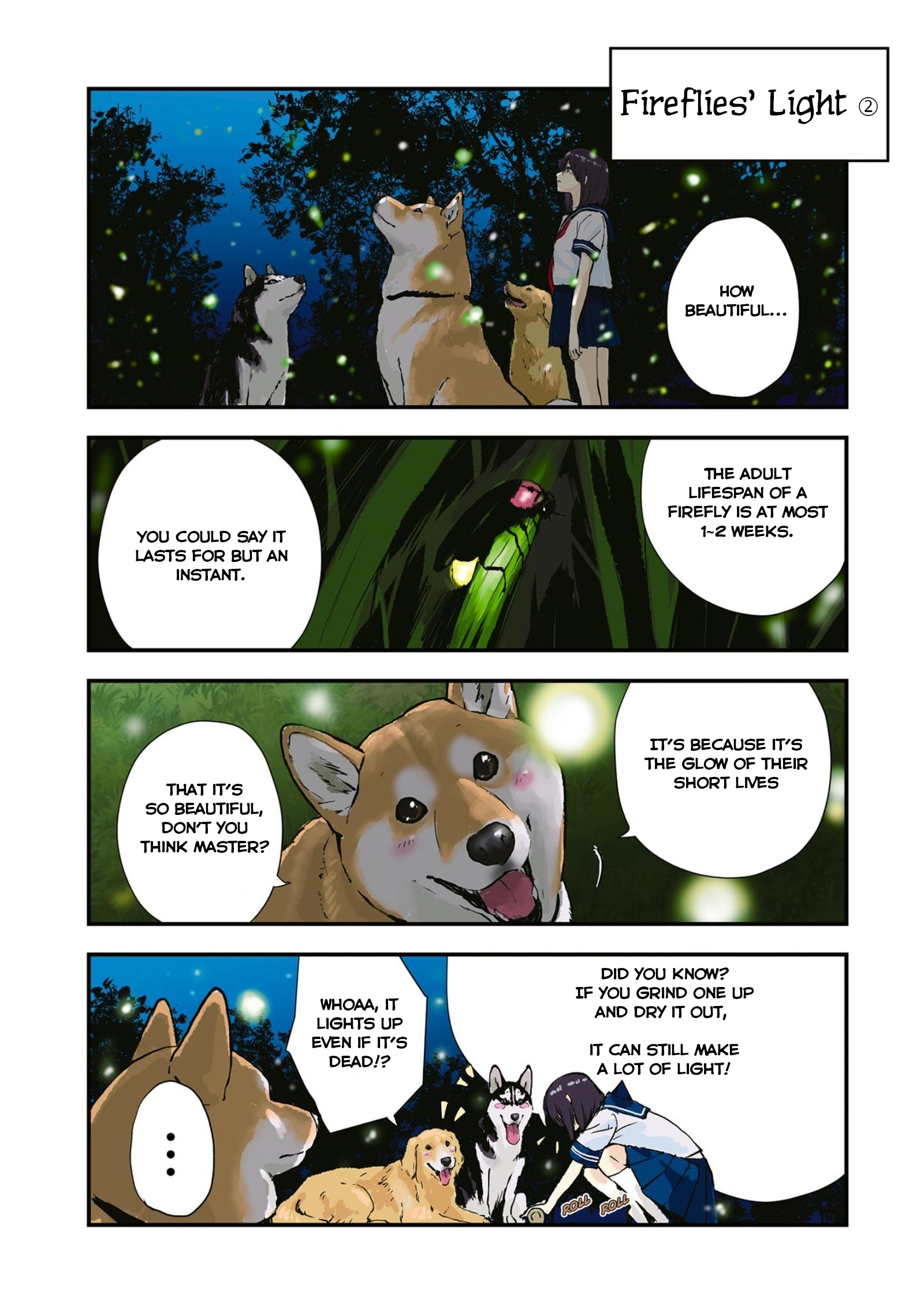 Roaming The Apocalypse With My Shiba Inu Chapter 35 #9