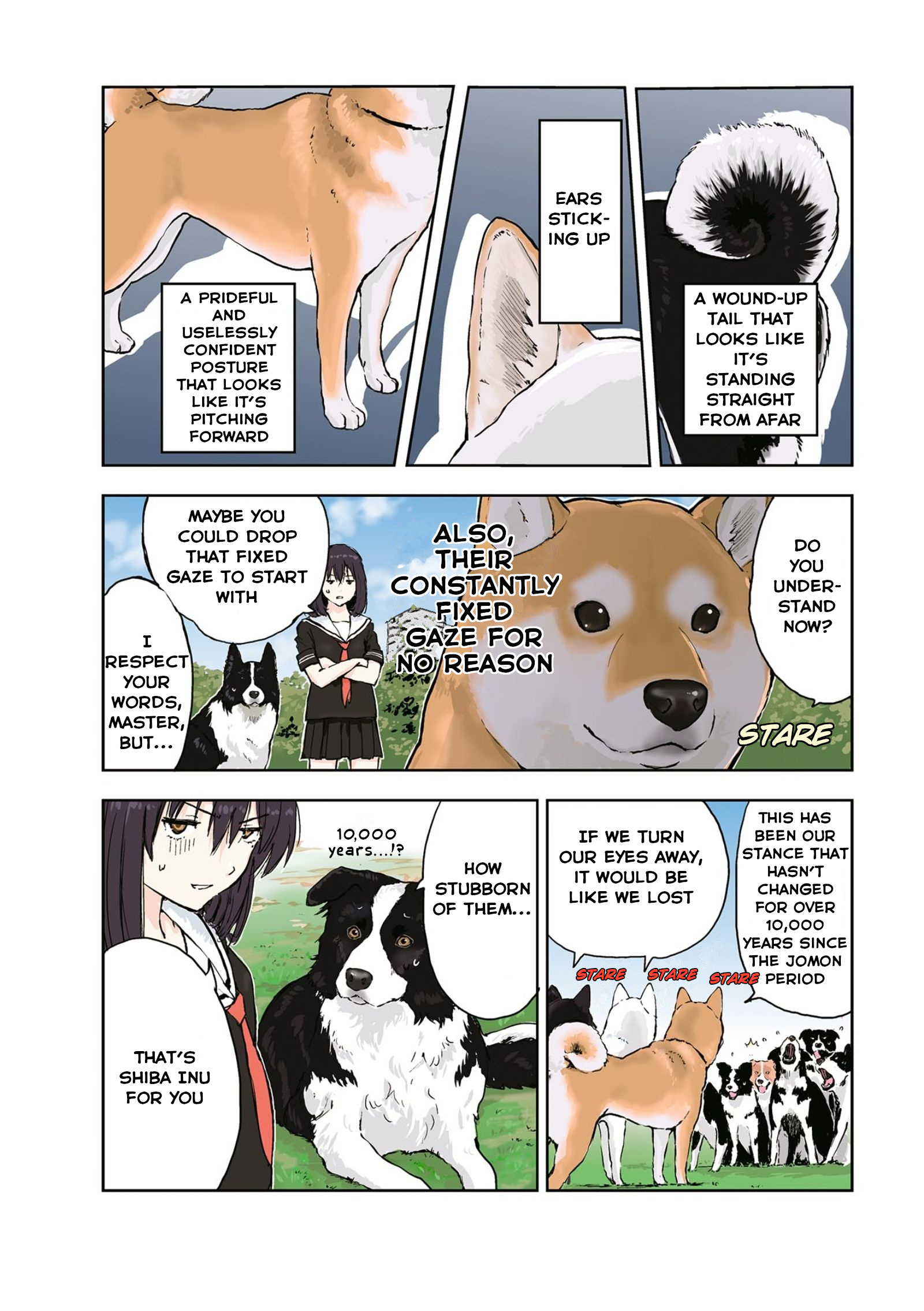 Roaming The Apocalypse With My Shiba Inu Chapter 22 #9
