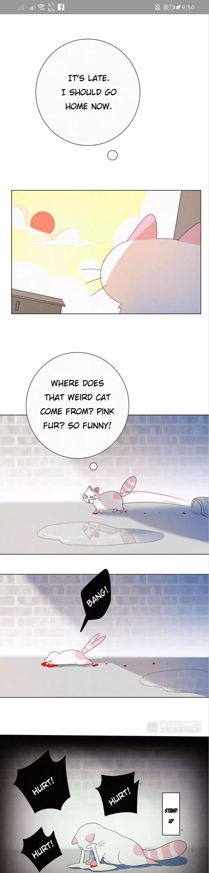 A Cat's World Chapter 39.5 #5