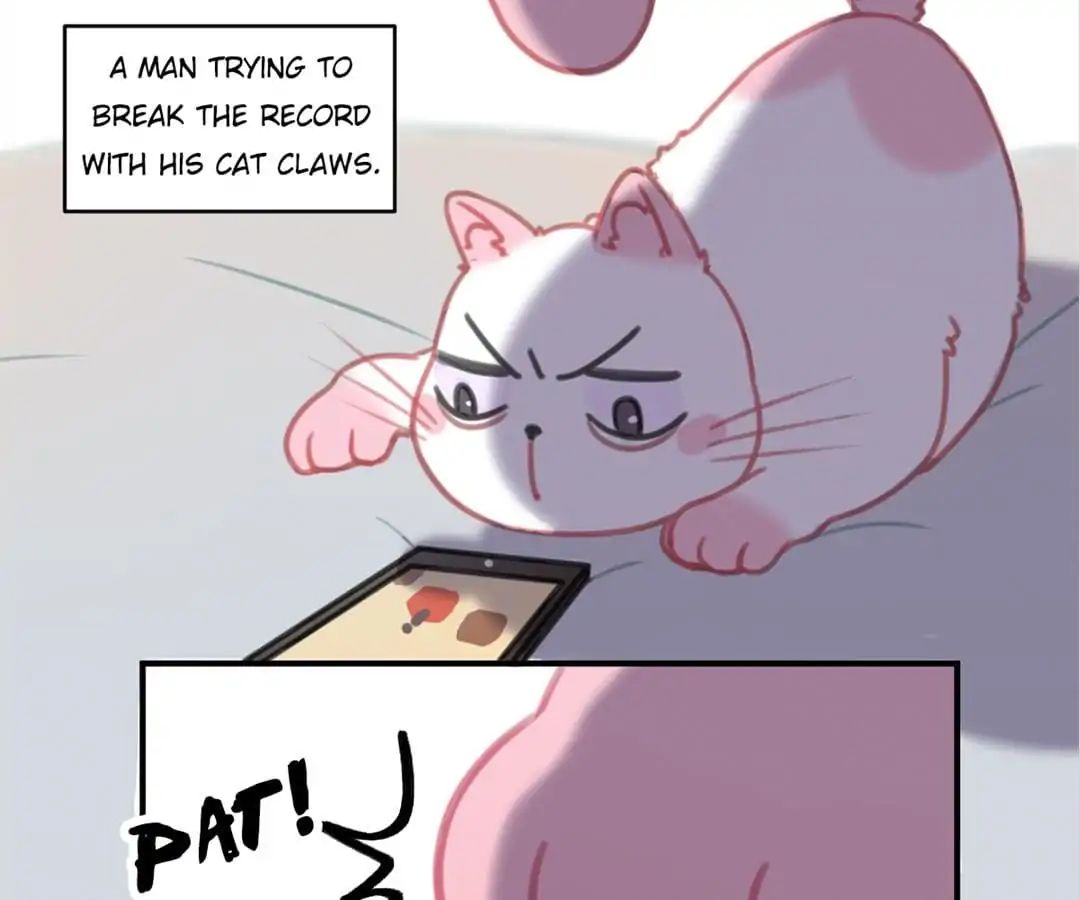 A Cat's World Chapter 8 #56