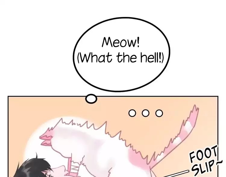 A Cat's World Chapter 1 #40