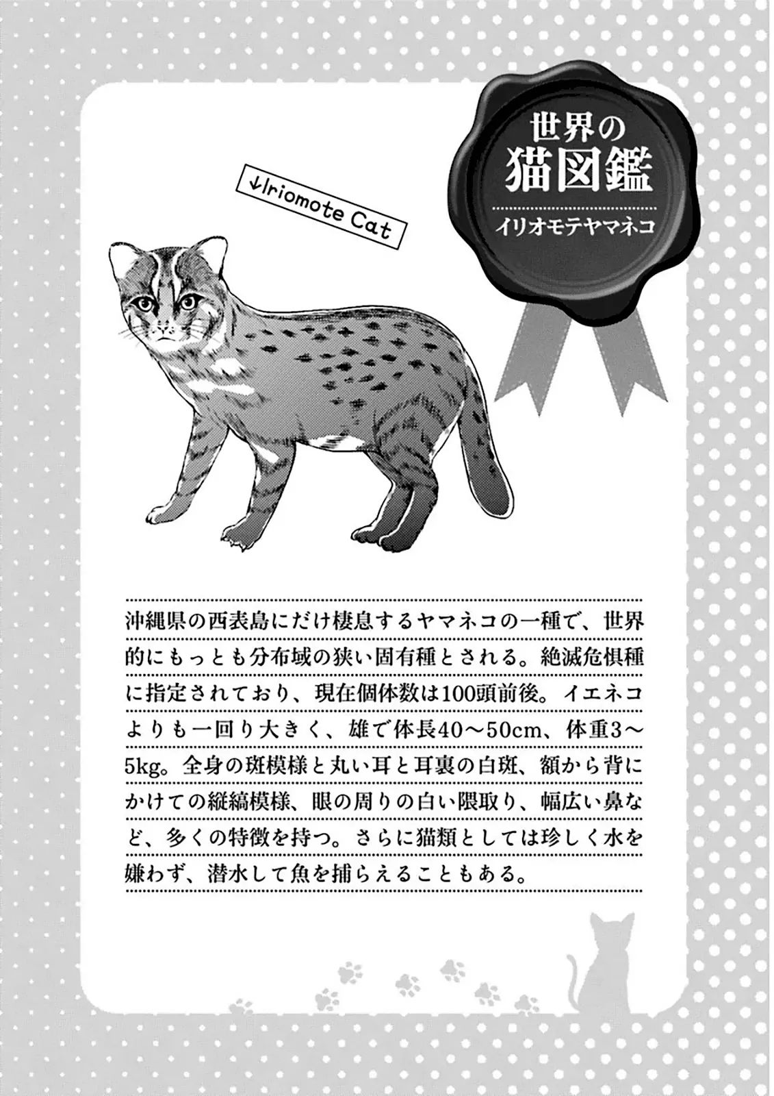 Hentai Ouji To Warawanai Neko. Nya! Chapter 29 #19