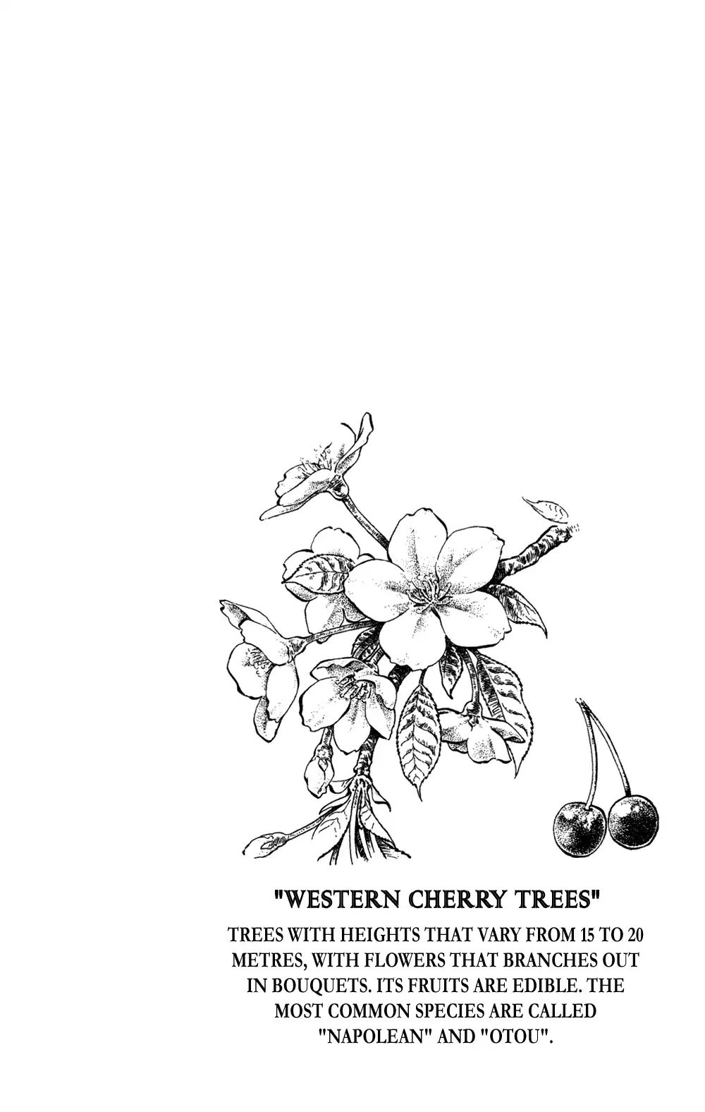 The Time Of Cherry Blossoms Chapter 1 #54
