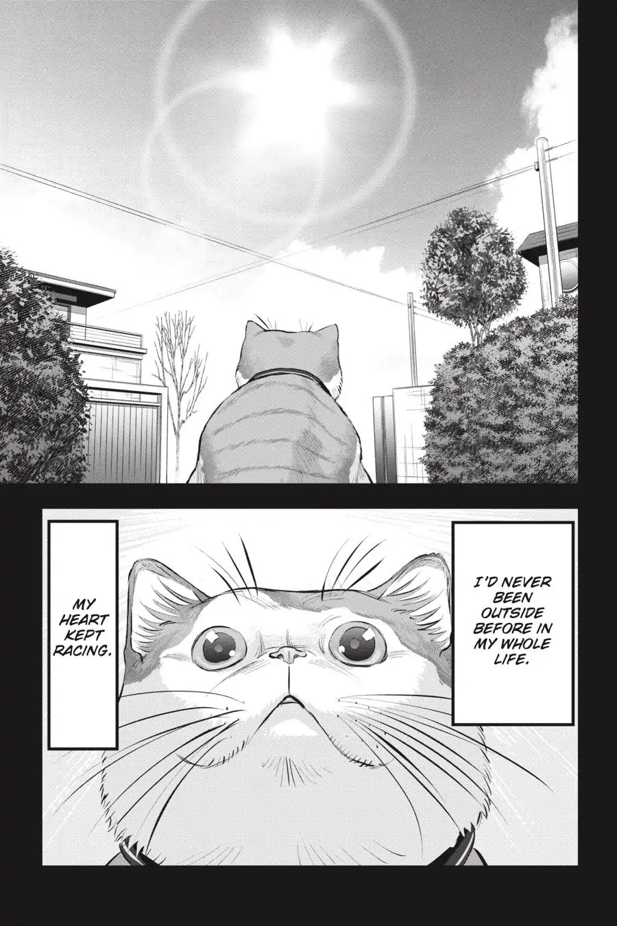 Nyankees Chapter 10 #11