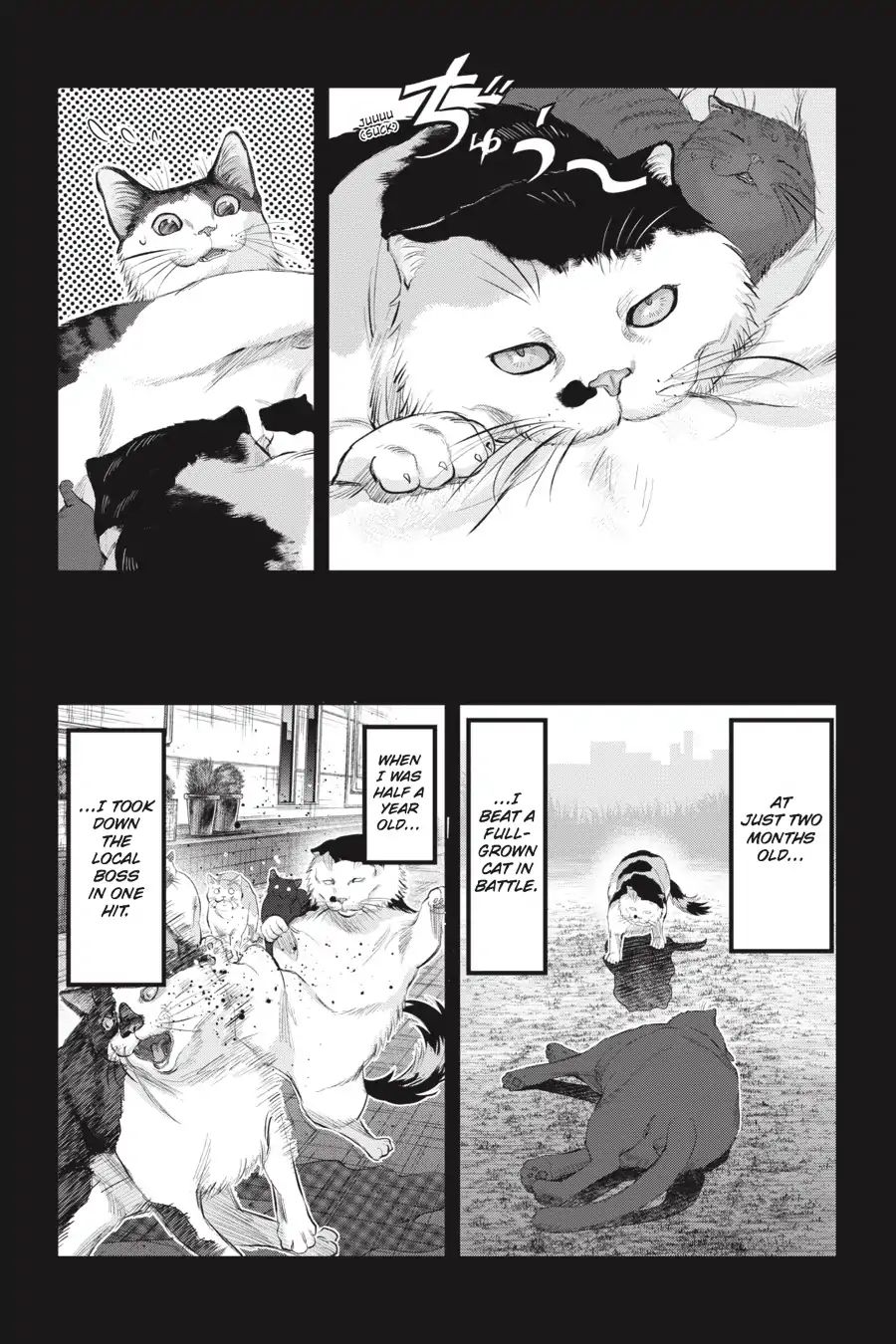 Nyankees Chapter 7 #5