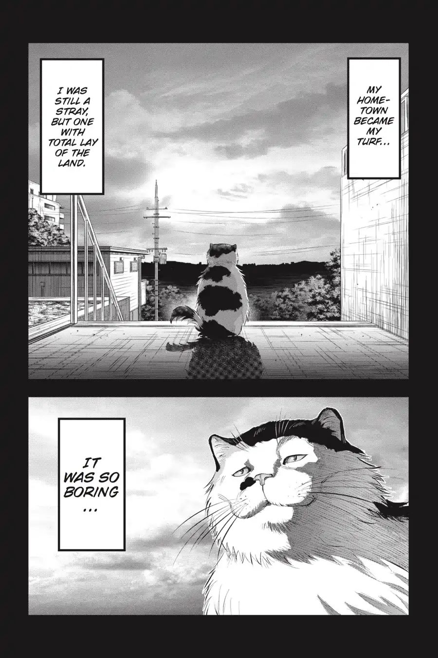 Nyankees Chapter 7 #7