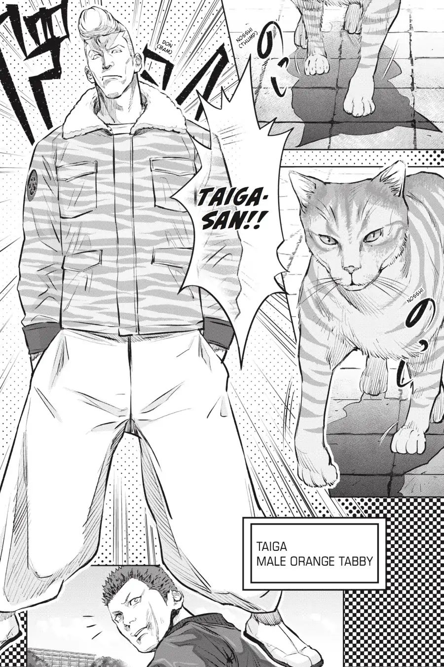 Nyankees Chapter 1 #28